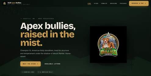 N.W Apex Bullies